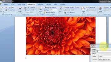 Quickly Add Captions to Your Graphics in Word 2007 Step By Step Tutorial
