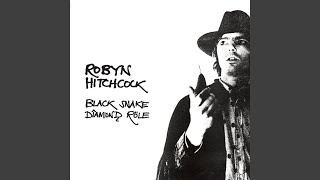 Watch Robyn Hitchcock I Watch The Cars No 2 video