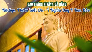NIKAYA - Thiền Biết Ơn - Ý Nghĩa Quy Y Tam Bảo - Đạo Tràng Đà Nẵng
