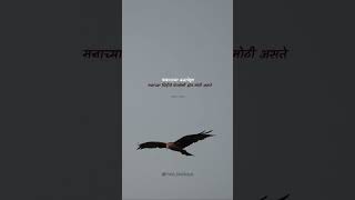 🤞#youtubeshorts #marathi #comfort #discipline #success #birds #sky #photography #ektadavane #yt