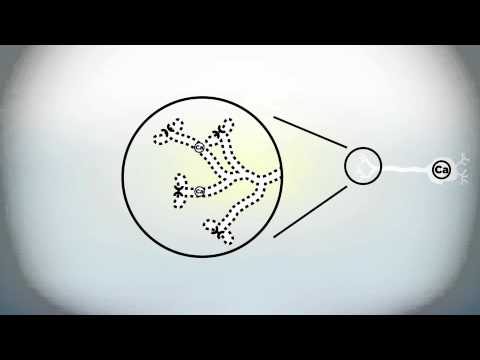 Video: Aminozuren - Verklarende Medische Termen