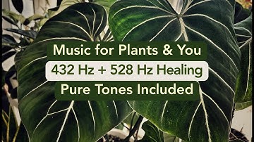 432 Hz + 528 Hz Healing Music for Plants & People 🌱 Pure Frequency Tones for Growth & Harmony