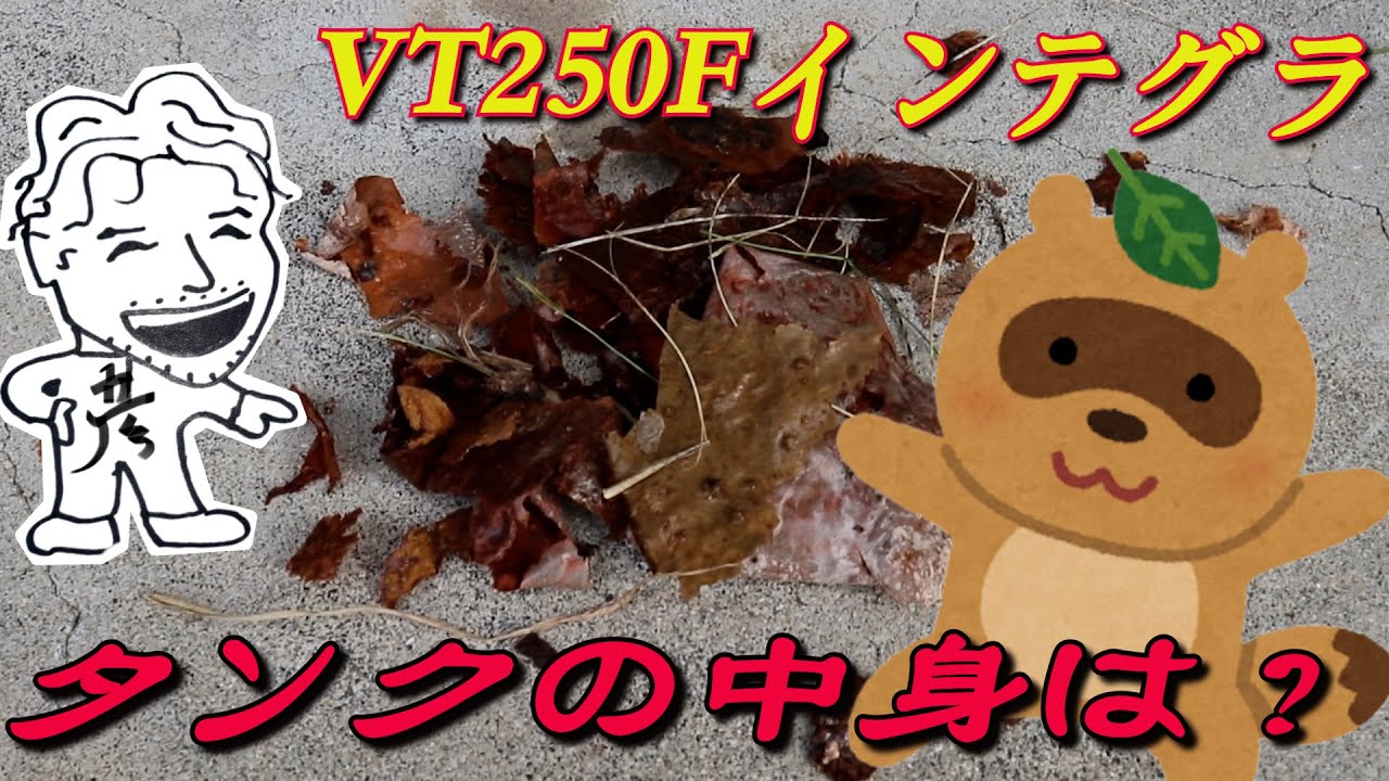 VT250Fインテグラ 沼へようこそ・・・ - YouTube