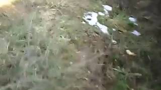 Steci Staro Selotorlakovac D Vakuf