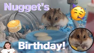 HAPPY BIRTHDAY NUGGET 🥳 Making Nugget Pancakes! | Kelli Maple