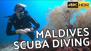 Maldives Scuba Diving on Emperor Explorer Liveaboard in 4k HDR