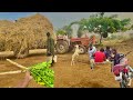 A day in a life of farmer  doing daily work