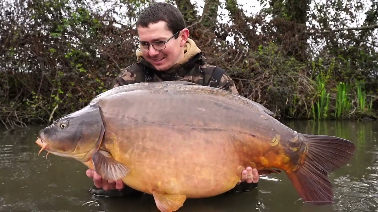 Belle série en rivière