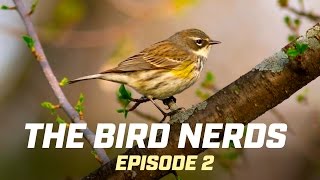 Bird Photography Vlog - Fall Birding at Short Hills Provinical Park