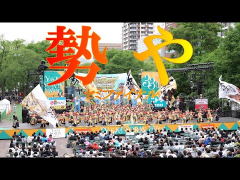 日光燦美-芽吹く命と薫る史- 【第33回YOSAKOIソーラン・セミファイナル/定点】