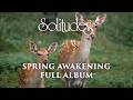 Capture de la vidéo 1 Hour Of Relaxing Music: Dan Gibson's Solitudes - Spring Awakening (Full Album)