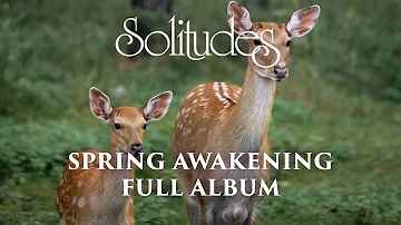 1 hour of Relaxing Music: Dan Gibson’s Solitudes - Spring Awakening (Full Album)