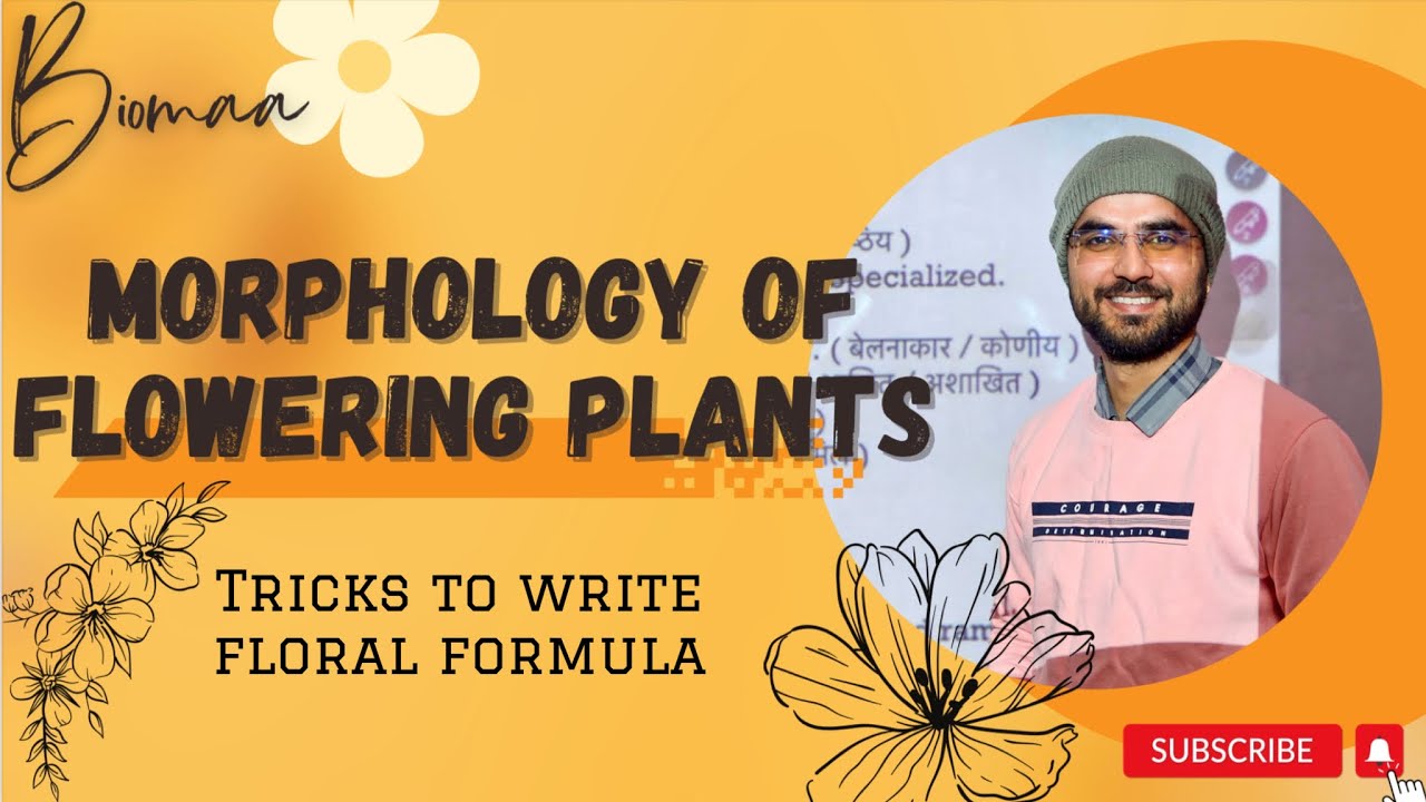 Tricks to write floral formula of Any family I Morphology of flowering