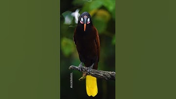 #aiart #art #ai #digitalart #generativeart #artificialintelligence #machinelearning #aiartcommunity