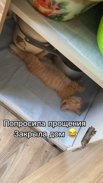 Вы только посмотрите — какой он уже большой! И длинный 😂 - YouTube