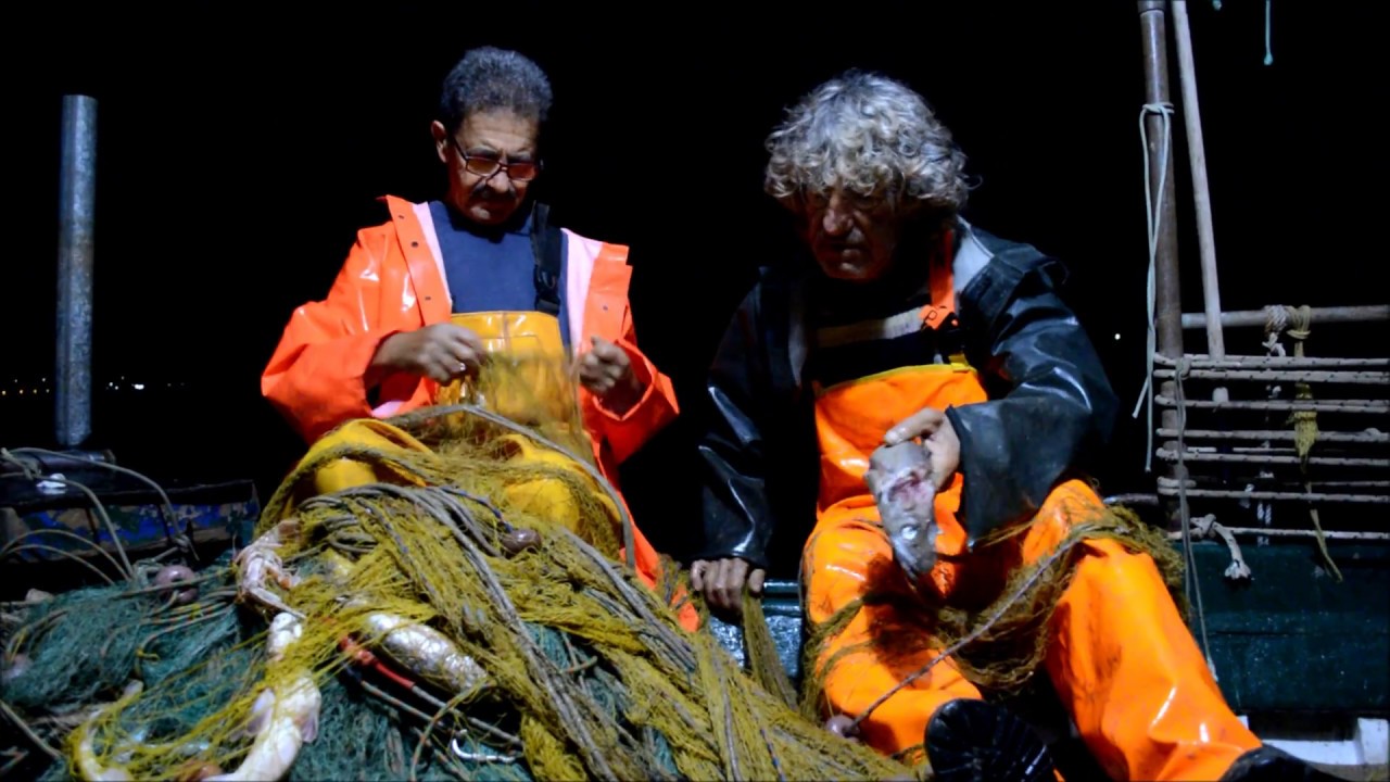 Ερατεινή, Τολοφώνα (Ν. Φωκίδα) ... στα δίχτυα ο Γιωργάκης Παπαδημητρίου