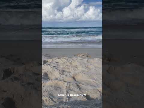 Cabarita Beach, NSW #australia #beach #nsw #ocean #asmr #water #waves #explore #travel #sounds