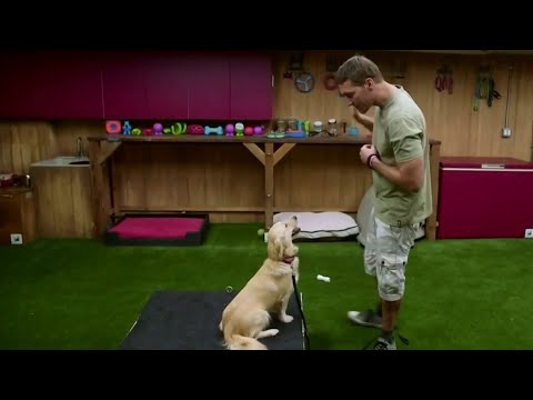 Lucky Dog's Brandon McMillan talks pups and pooches before the ...