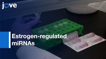 Estrogen-regulated miRNAs Profiling in Breast Cancer | Protocol Preview
