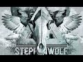 Capture de la vidéo Steppenwolf