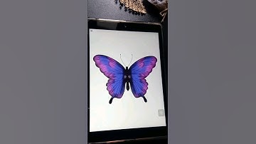 How to Draw butterfly #procreate #shortsvideo #drawingshorts #shorts