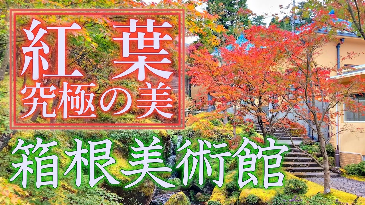 究極の美しさ 箱根の紅葉 強羅 箱根美術館の日本庭園 神仙郷 の紅葉 関東一の庭園 錦秋の紅葉 Amazing Autumn Leaves In Hakone Museum Japan Youtube