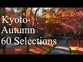 京都の紅葉60選 : The 60 Best Autumn Leaves Spots In Kyoto.