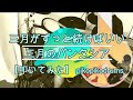 【叩いてみた】三月がずっと続けばいい 三月のパンタシア【Drum Cover】