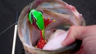 Top Water Frog Bass Fishing with Custom Painted Frogs by Capt. Ken