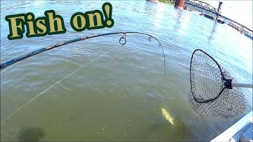 Drifting And Anchoring For Bass Below Shallow Dam!!! (ft Chatt Cats pt 2)