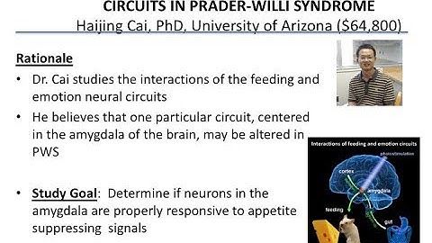 Fall 2019 Grant Award: Role of Central Amygdala Anorexia Neural Circuits