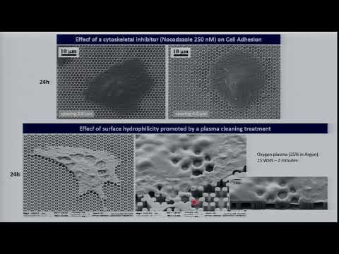 Video: Quando fare la scansione della morfologia?