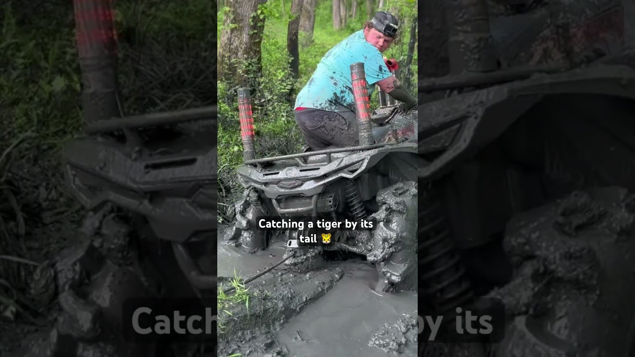 KFI TIGER TAIL 🐯🧐