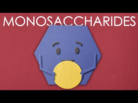 What is a monosaccharide