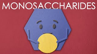 What is a monosaccharide