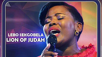 Lebo Sekgobela - Lion of Judah