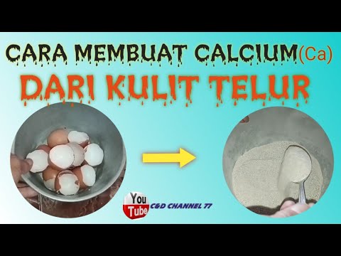 Video: Cara Membuat Baju untuk Kucing