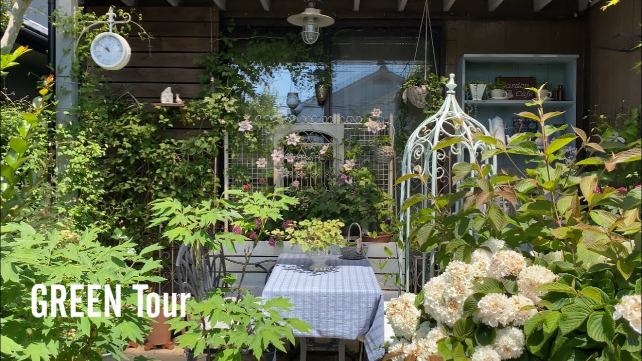 【個人邸】絵になる景色がたくさん広がる可愛いお庭は薔薇とクレマチスと宿根草が咲き誇るお洒落なナチュラルイングリッシュガーデン！|鷲田邸 | 園芸/ガーデニング店巡り | 兵庫/西区