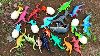 Tak Disangka! Banyak Dinosaurus Ditemukan Sekaligus 😲. Tyrex, Spinosaurus, Amargasaurus