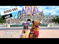 Service Dogs visit Magic Kingdom! | Disneyworld Trip Day 5