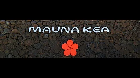 Night viewing of Manta Rays in Kona, Hawaii at Hot...
