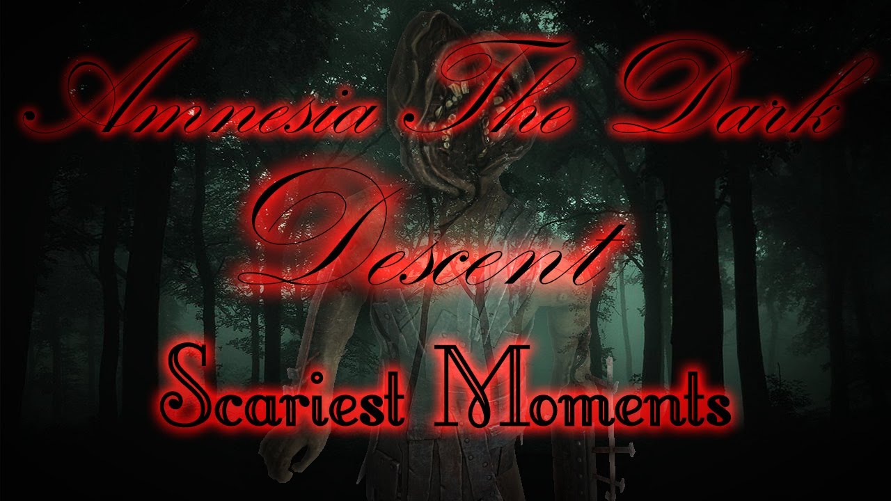 Amnesia Scare Compilation 2011