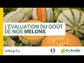 Comment valueton le got de nos melons   howto  hmclause