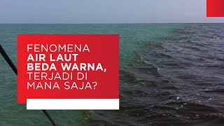 Fenomena Air Laut Beda Warna, Terjadi di Mana Saja?