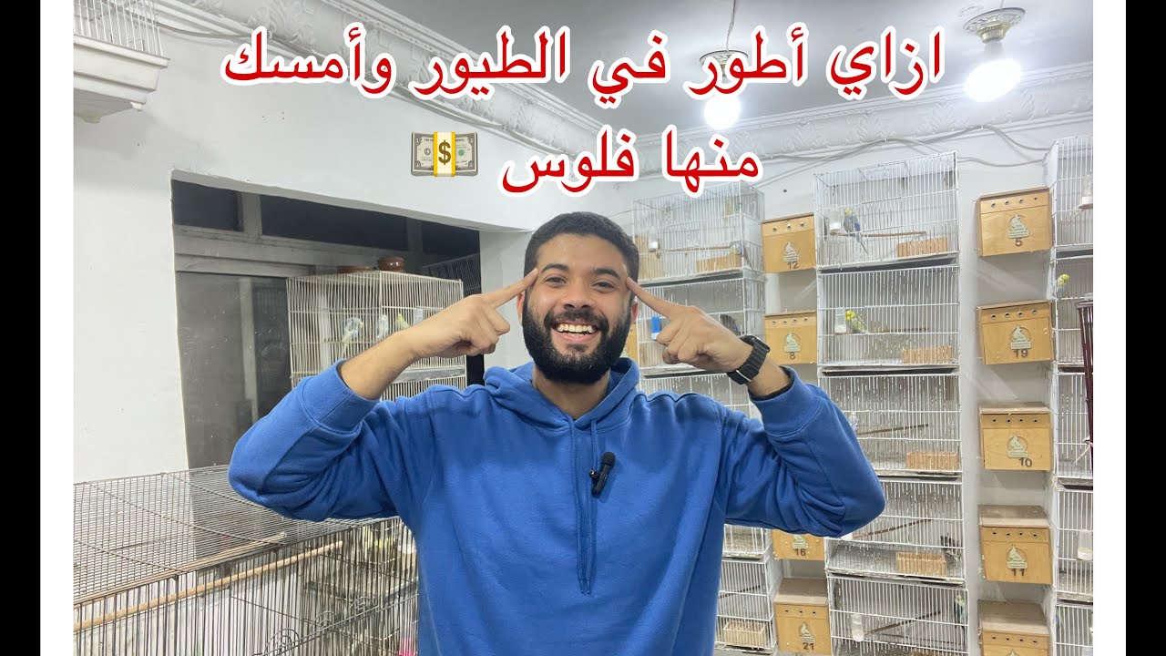 ازاي اعرف امسك فلوس من العصافير 👌واطور من مزرعتي💪
