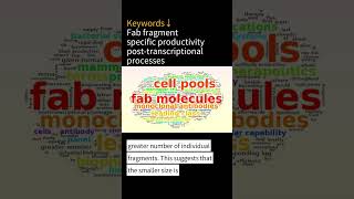 CHO Cell Paper Summary | A comparative analysis of recombinant Fab and full-length antibody product…