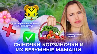 видео: СЫНОЧКИ-КОРЗИНОЧКИ И ИХ БЕЗУМНЫЕ МАМАШИ // БУКЕТ ДАРЮ МАМЕ, А ОДНУ РОЗУ ЖЕНЕ // ИН*ЕСТ ДЕЛО СЕМЕЙНОЕ картинка: СЫНОЧКИ-КОРЗИНОЧКИ И ИХ БЕЗУМНЫЕ МАМАШИ // БУКЕТ ДАРЮ МАМЕ, А ОДНУ РОЗУ ЖЕНЕ // ИН*ЕСТ ДЕЛО СЕМЕЙНОЕ