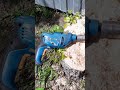 How to remove a tree stump  the easiest way