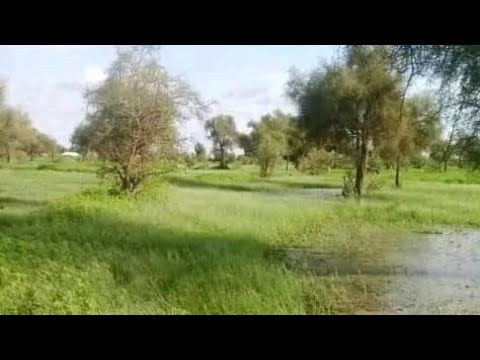 Aliou Bouya Thioukel Morcho Djari Doula Sidy