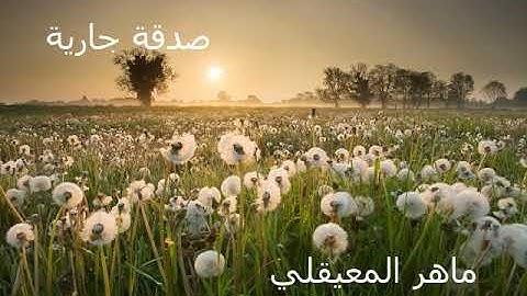 سورة الشعراء ماهر المعيقلي تلاوة خاشعة تلاوة مهدئة للنفس تخشع لها القلوب راحة وسكينة لا توصف